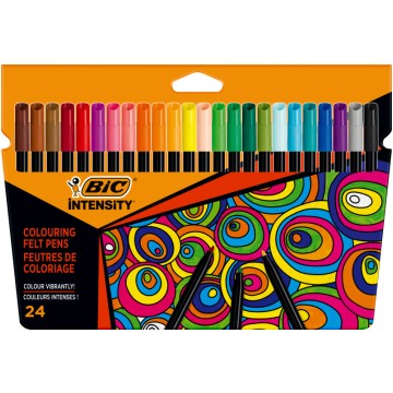 Flamastry Color Up INTENSITY 24 kolory BIC