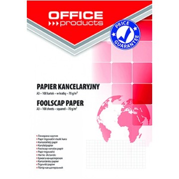 Papier kancelaryjny A3 100 ark - kratka