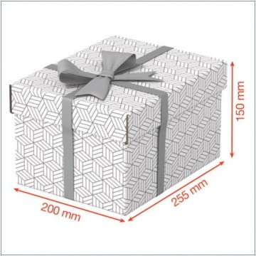 Pudełko ESSELTE BOX S 3 sztuki białe